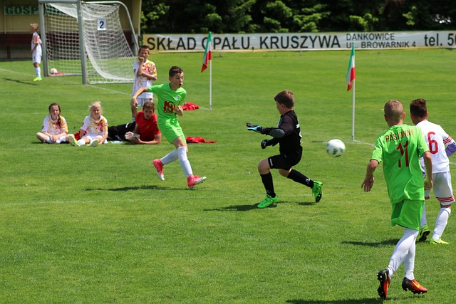 也是对他未 也是对他未