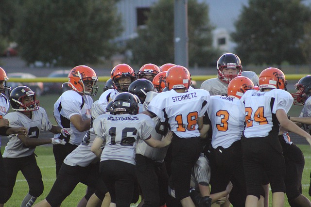 裁判员的判 裁判员的判