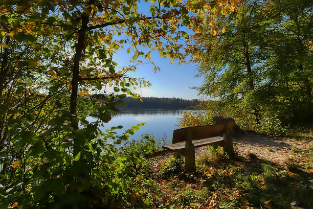 对这种新形 对这种新形